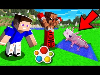 [vladus] how to secretly steal a sympaty diml from leni in minecraft