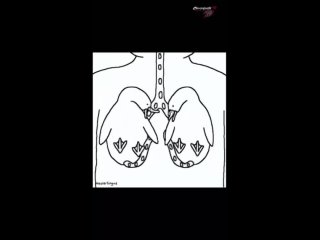 clip @videfunny | @videfunny