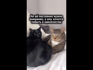 video from @videfunny | @videfunny
