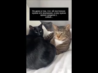 how do we understand it