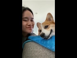 kissed the dog