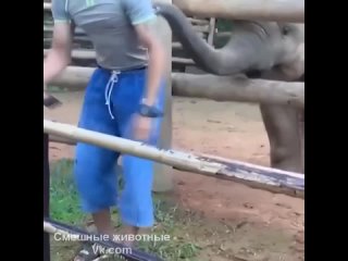 play with me