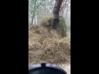 sticking video