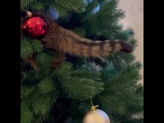 new year's fun