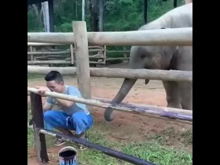 play with me