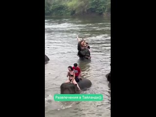 clip @videfunny | @videfunny