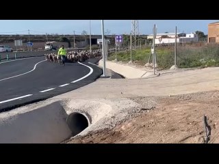 video from pro humor / bayan | @videfunny