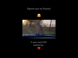 clip @videfunny | @videfunny