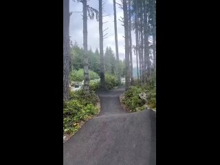 i found something to lure | @videfunny