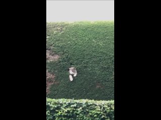 video from @videfunny | @videfunny