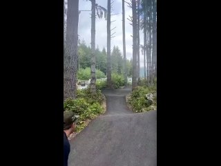 it goes to the factory | @videfunny