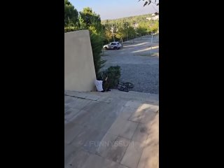 it goes to the factory | @videfunny