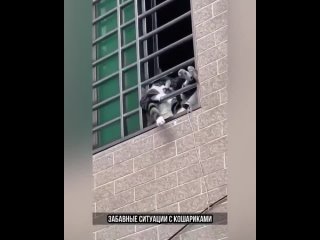 vine | @videfunny